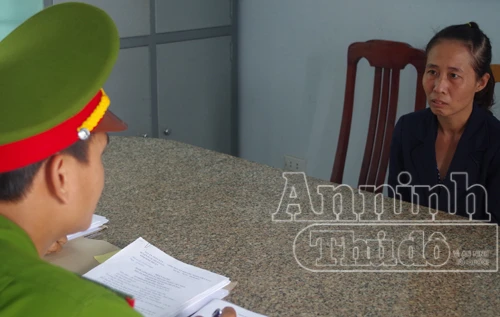 Bắt "nữ quái"... trộm bò