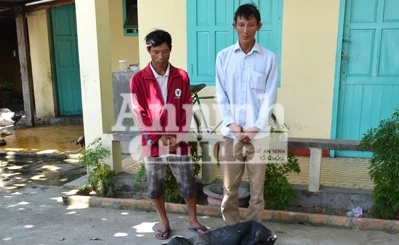 Bắt 2 đối tượng dùng hóa chất đánh bắt hải sản