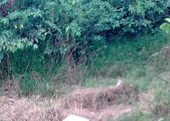 Truy tìm tung tích nạn nhân chết trong khu đô thị Cầu Bươu