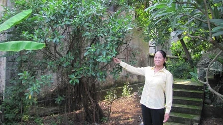 Thực hư ngọn núi chôn sống người đẹp ở Hà Nội