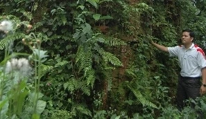 Huyền bí về kho báu dưới chân ngôi tháp cổ bí ẩn