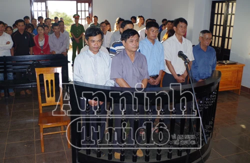 Giám đốc phá rừng, thiệt hại 198 tỷ đồng