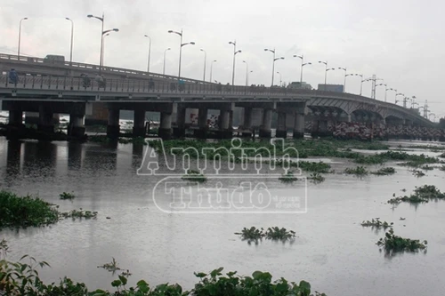 Nam thanh niên hét lớn rồi nhảy cầu tự tử