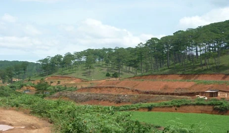 Bắt giám đốc chuyên lừa bán đất rừng