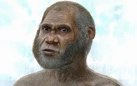 Phát hiện sinh vật mới giống loài người