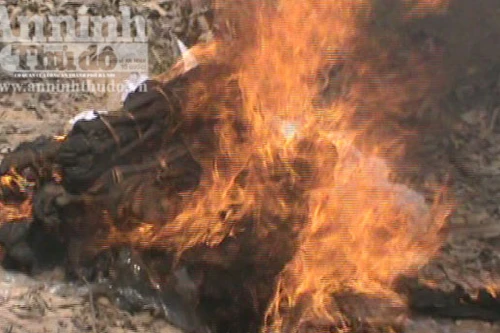 Tiêu hủy 13 cá thể Voọc Chà vá chân đỏ