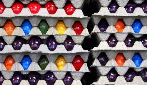 Biến vỏ trứng thành chất dẻo