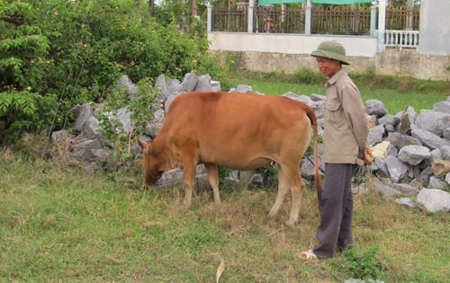 "Bê tặc" oanh tạc vùng quê nghèo