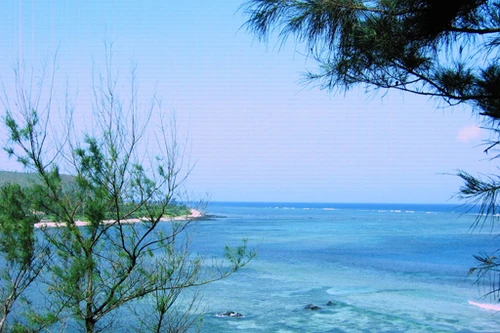 Dịch vụ du lịch ở Lý Sơn còn quá thiếu