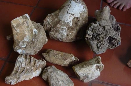 Hang động kỳ bí chứa kho xương cổ khổng lồ (3)