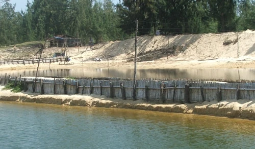 Lấn chiếm đất rừng nuôi tôm, 8 cán bộ, đảng viên bị kỷ luật