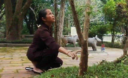 Ly kỳ chuyện những cây ổi biết… “cười”