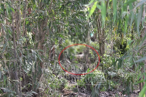 Hốt hoảng phát hiện xác nữ giới chết lõa thể, có vết đâm trên người