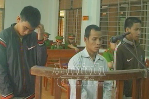  32 tháng tù cho nhóm lâm tặc phá rừng