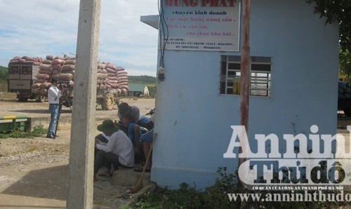 Hoang tàn chợ nông sản lớn nhất Tây Nguyên
