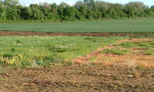 Luật đất đai (sửa đổi) sẽ được thông qua vào năm 2013