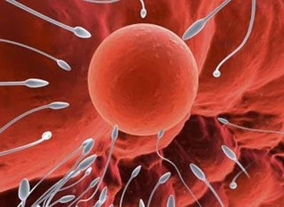 Hướng mới trong điều trị vô sinh