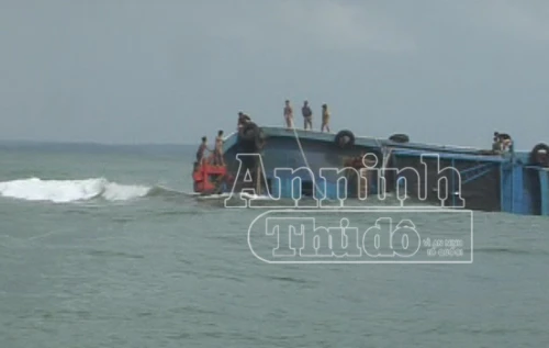  Thêm tàu cá bị đâm chìm, 12 ngư dân thoát chết