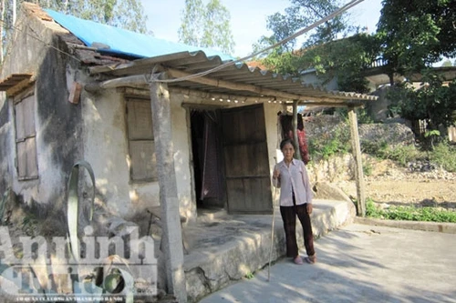 Cô giáo tật nguyền lập thư viện trên đỉnh núi