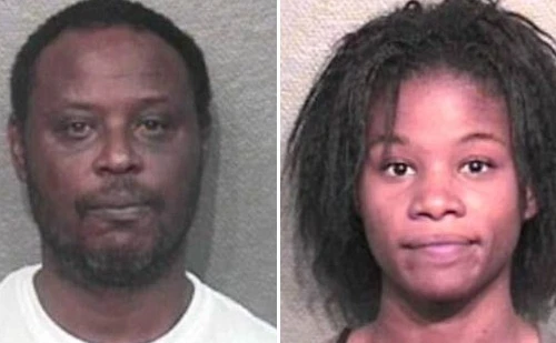 Quay clip hành hạ chó mèo để bán cho con nghiện tình dục