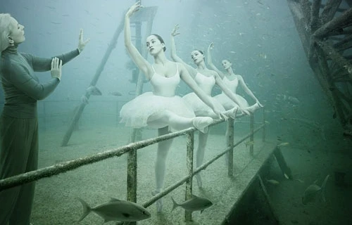 “Thế giới trong mơ” dưới độ sâu 45m nước