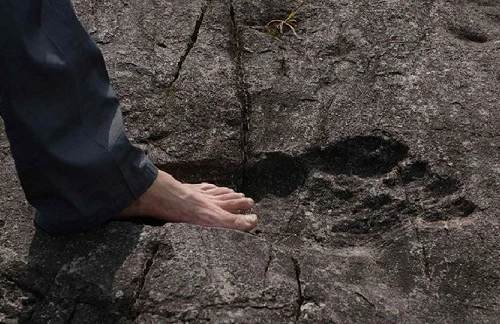 Phát hiện dấu chân người khổng lồ dài tới 57cm, rộng 20cm