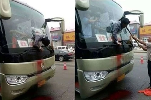 Thoát chết hy hữu dù lao nửa người qua kính xe