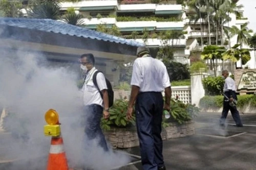 Singapore đã có 82 người nhiễm virus Zika 