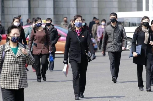 WHO xác nhận Triều Tiên chưa có ca nhiễm Covid-19 nào