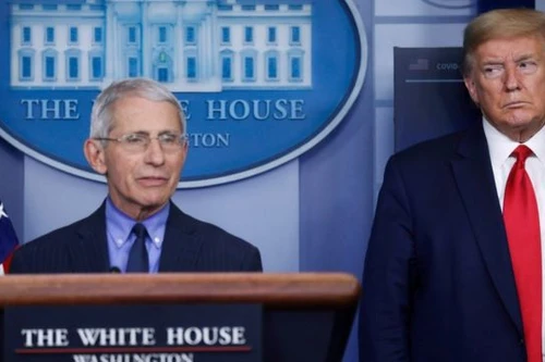 Tổng thống Donald Trump sẽ sa thải chuyên gia Anthony Fauci sau bầu cử?