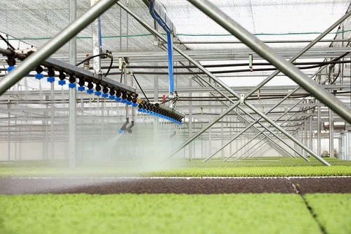 "Mục sở thị" công nghệ nông nghiệp đỉnh cao của Israel tại VinEco