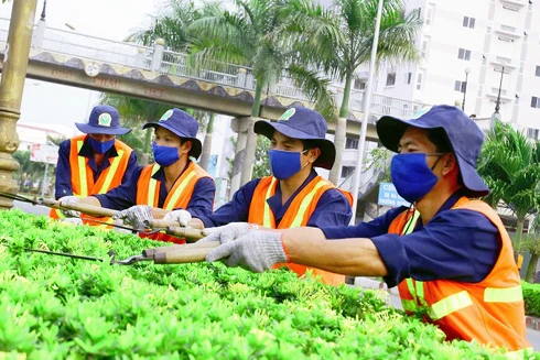 Hà Nội tạm dừng cắt cỏ để xây dựng lại quy trình hiệu quả hơn