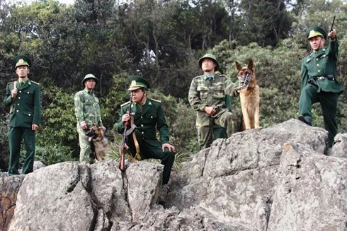 Chó nghiệp vụ truy tìm nghi can giết 4 người ở Lào Cai