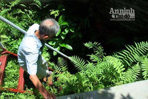 Bí ẩn hầm luyện đan sa dưới ngôi đình nghìn tuổi