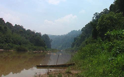 Thuỷ điện "tấn công" vườn quốc gia