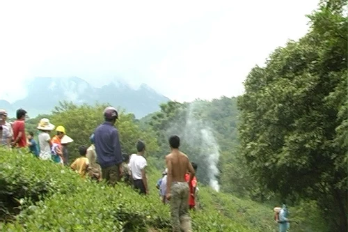 Phát hiện xác chết bị phân hủy trên đồi chè