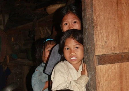 Những "người rừng" bơ vơ nơi quanh năm mây mù bao phủ