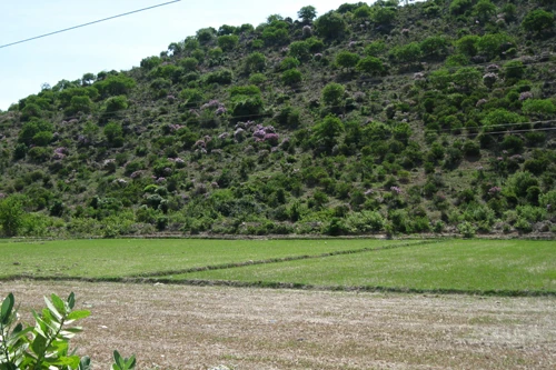 Chuẩn bị thăm dò lần cuối "kho báu" núi Tàu