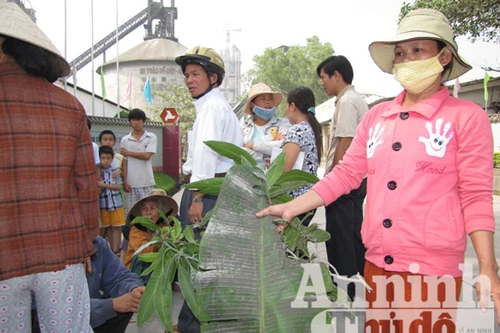 Phạt tiền 11 doanh nghiệp gây ô nhiễm môi trường