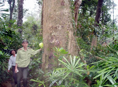 Trả lại “nhà” cho muông thú