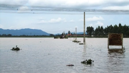 Riêng Nghệ An đã có 6 người chết vì mưa lũ