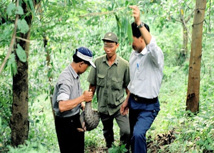Nhức nhối thị trường "hàng tươi sống"