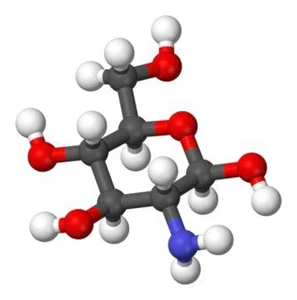 Glucosamin – Thành phần thiết yếu trong hỗ trợ điều trị thoái hóa khớp.