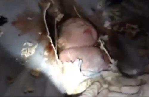 Ly kỳ vụ giải cứu bé sơ sinh trong đường ống xí bệt