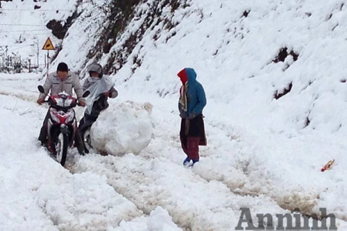 Sa Pa: Tuyết dày 50cm, nhiều vụ tai nạn giao thông do trơn trượt