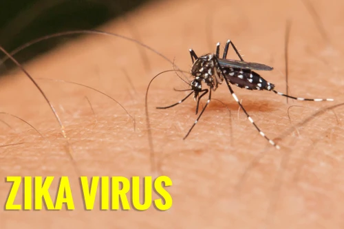 Ca tử vong đầu tiên do virus Zika ở Mỹ