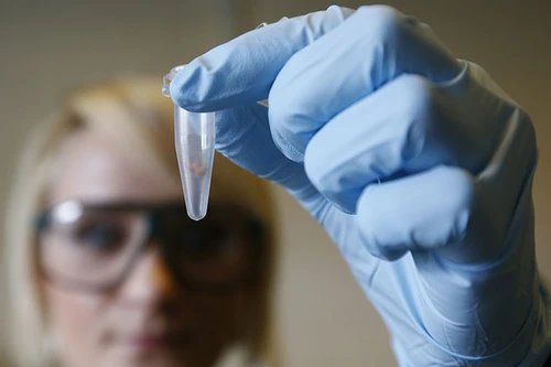 Phát hiện gene quyết định tuổi con người "mất trinh"