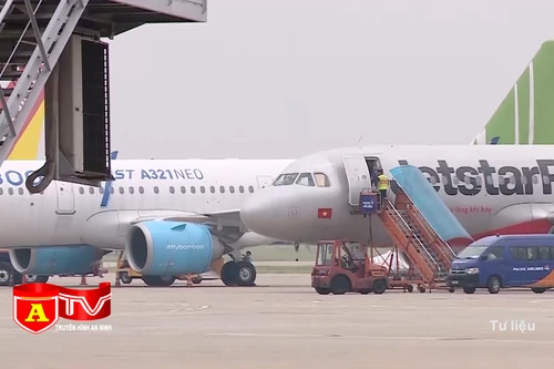 Lập tổ công tác chống buôn lậu hàng không