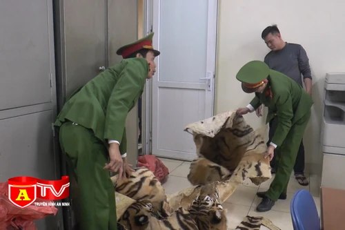 Phát hiện 3 bộ da và 2 đầu hổ trên xe taxi