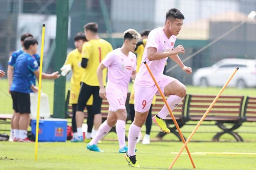 Hai tuyển thủ Việt Nam cao trên 1m90 là ai?